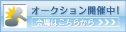 �}�C�E�I�[�N�V����������񂭂�����