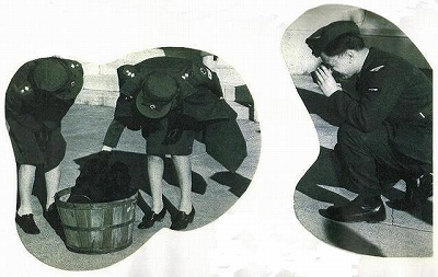 Dennis Brain is taking a photograph of
two small dogs in a basket!